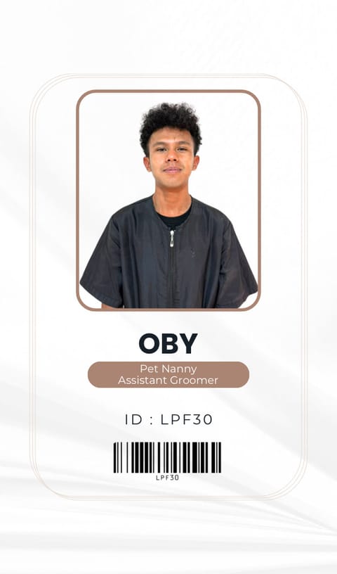 Obi