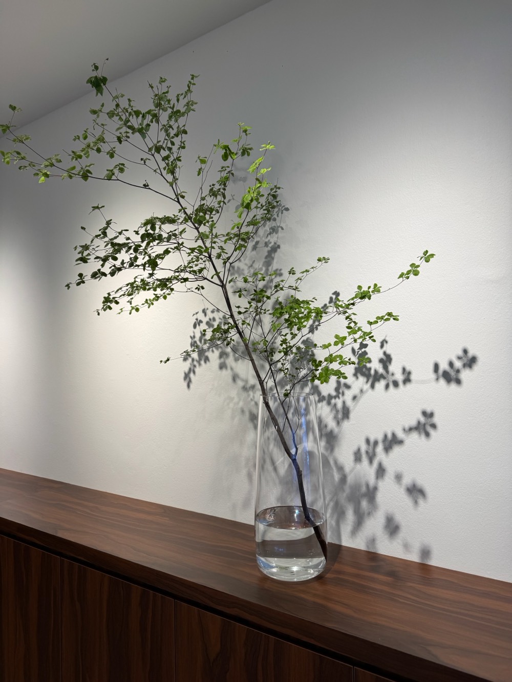 NOH Salon shop photo 2
